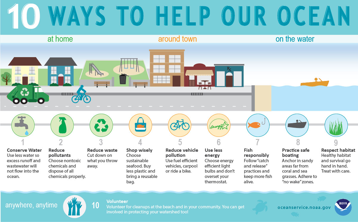 Urban sea: how to protect our oceans while living in coastal cities together!