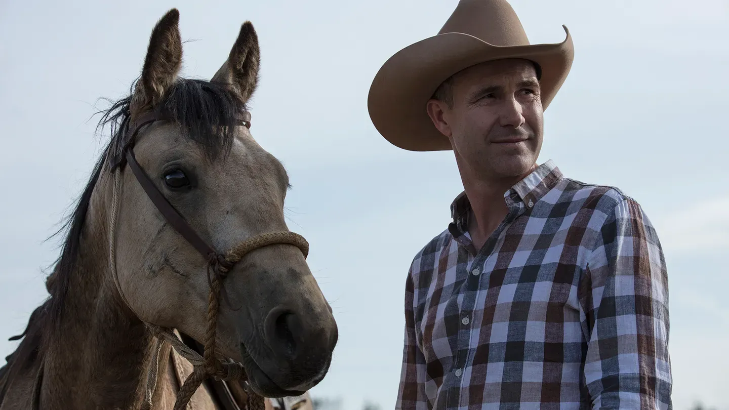 The Horse Video: Where Did It Come From? A Deep Dive Here.