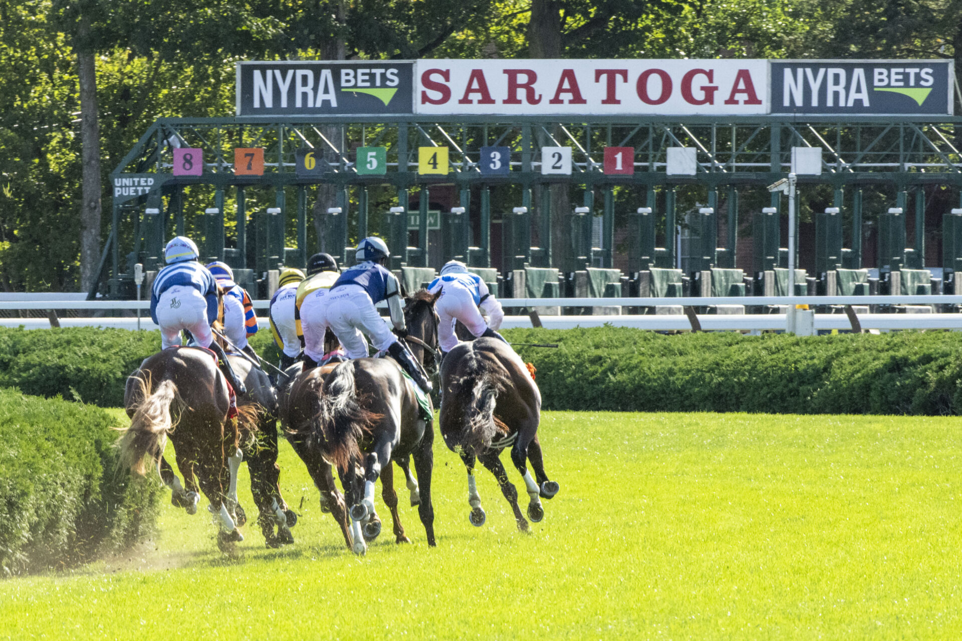 Fourstardave Saratoga: Your Easy Guide to Watching the Big Race (Simple Tips for New Fans)