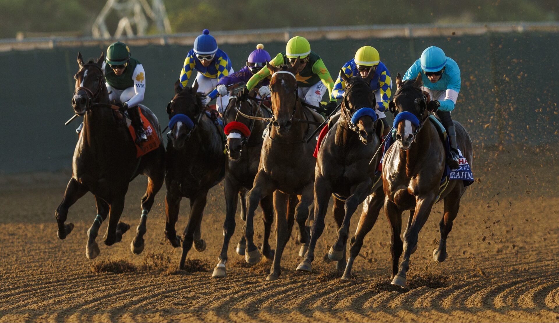 Oceanside Stakes Betting Tips: How to Pick a Winner