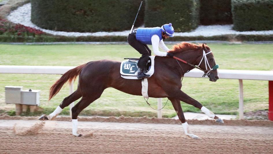 Arkansas Derby Horses: Everything You Need to Know About the Race and the Horses.
