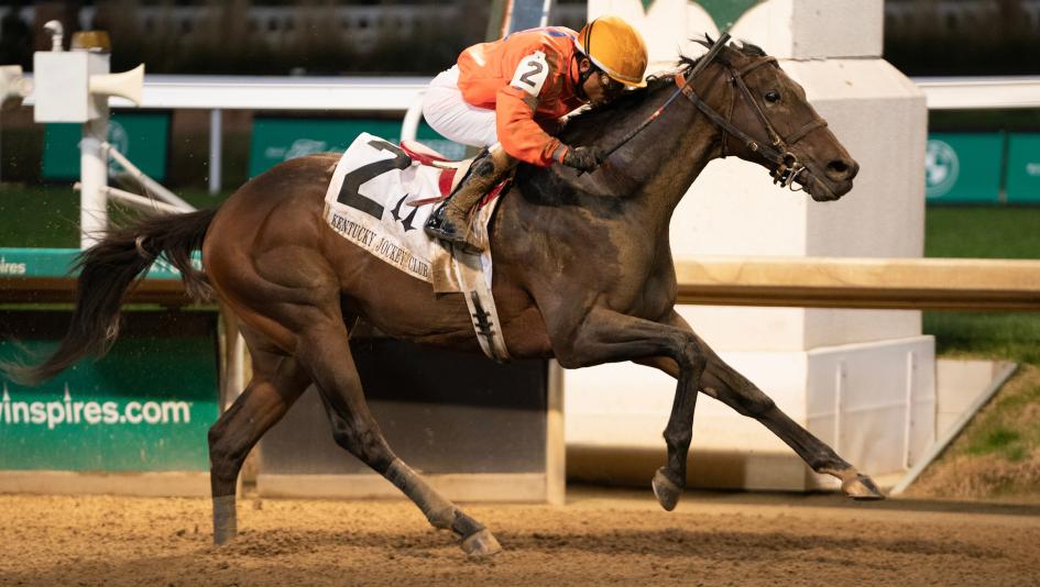 Kentucky Derby Honor Marie: Learn All About This Amazing Horse in Simple Terms