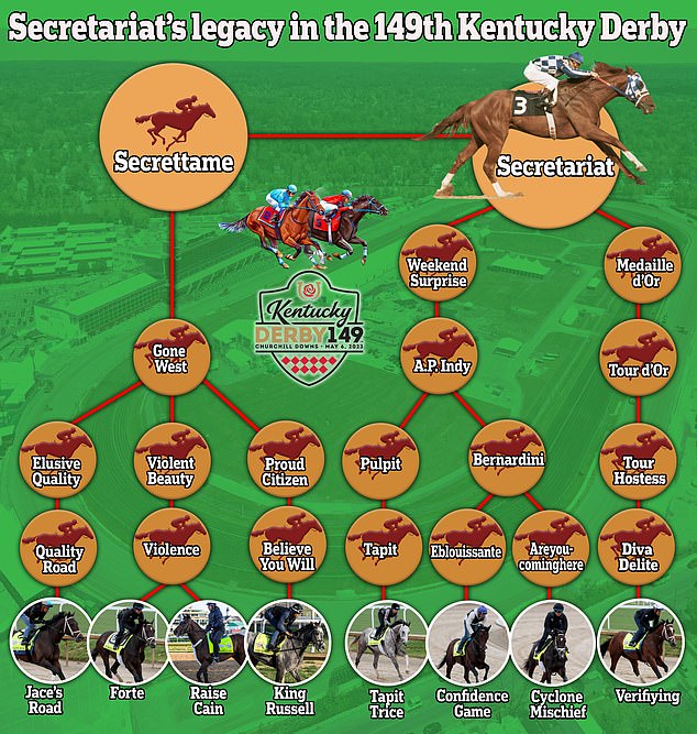 Secretariat offspring where to see them in person check it out