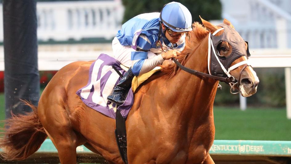 Where to Find Arms Runner Horse: Tips and Tricks for Getting the Best Horse