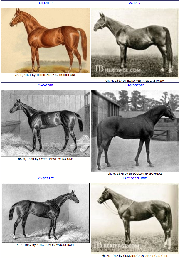 Secretariat offspring where to see them in person check it out