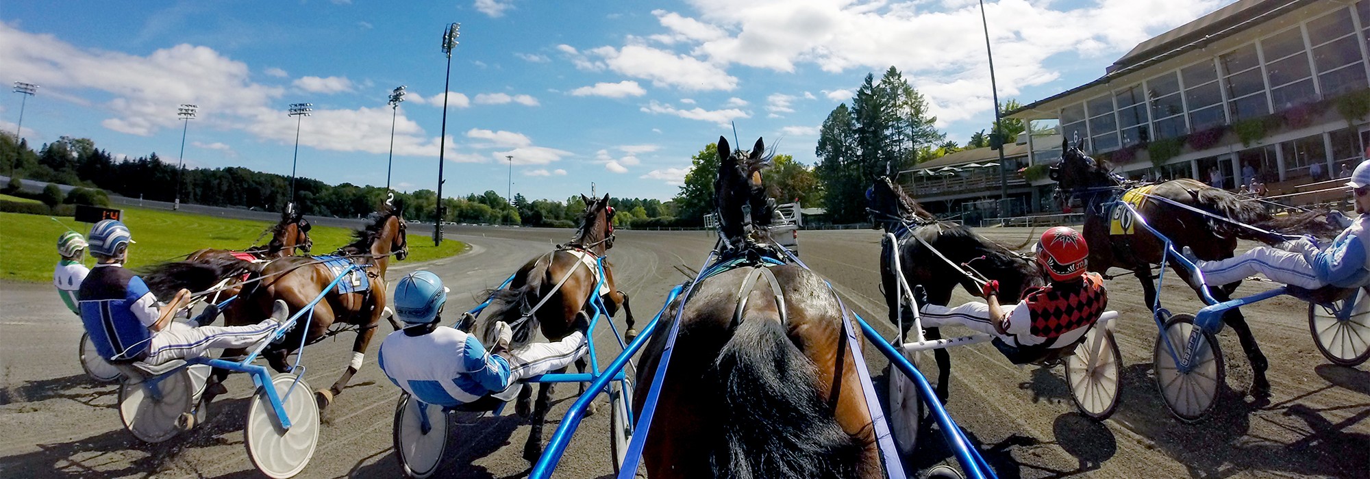 Get the Latest Saratoga Harness Entries for Today and Dont Miss the Action!