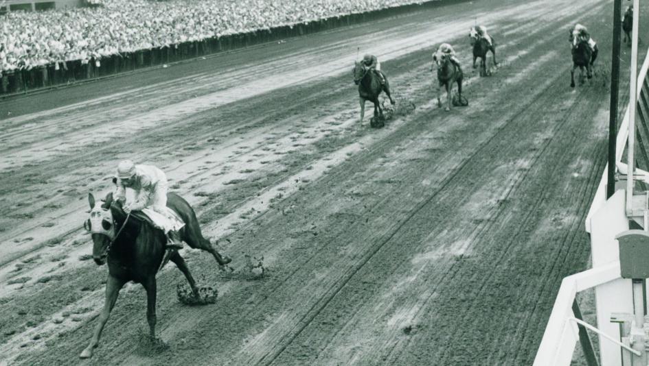 Bold Ruler Horse: A True Champion (Discover the Secrets to This Horses Racing Success)