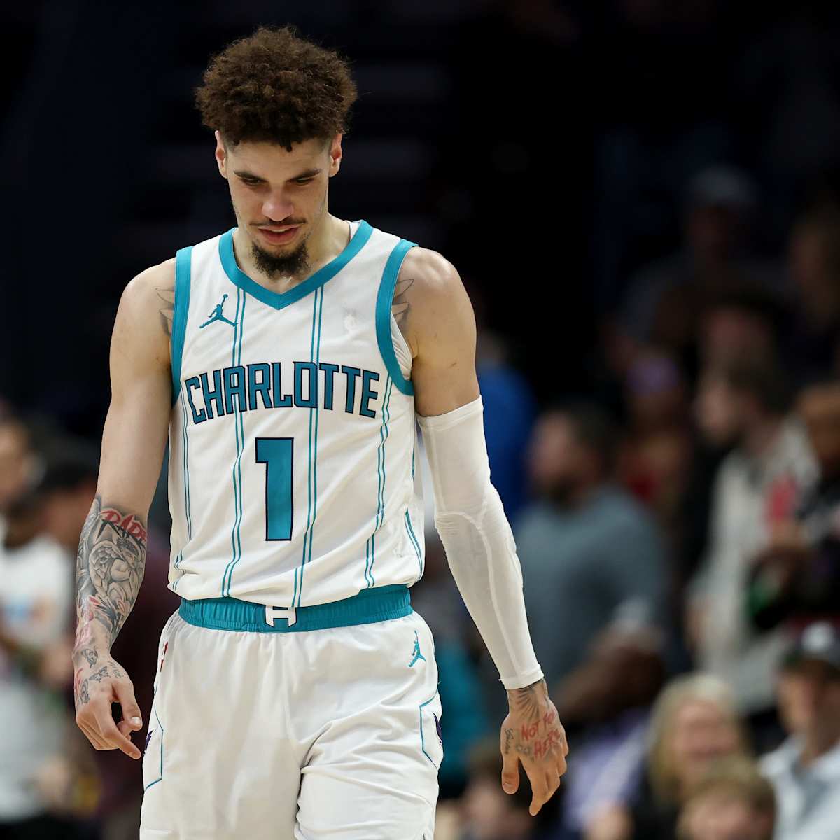 Hornets Injury Report: Whos In, Whos Out, and What It Means