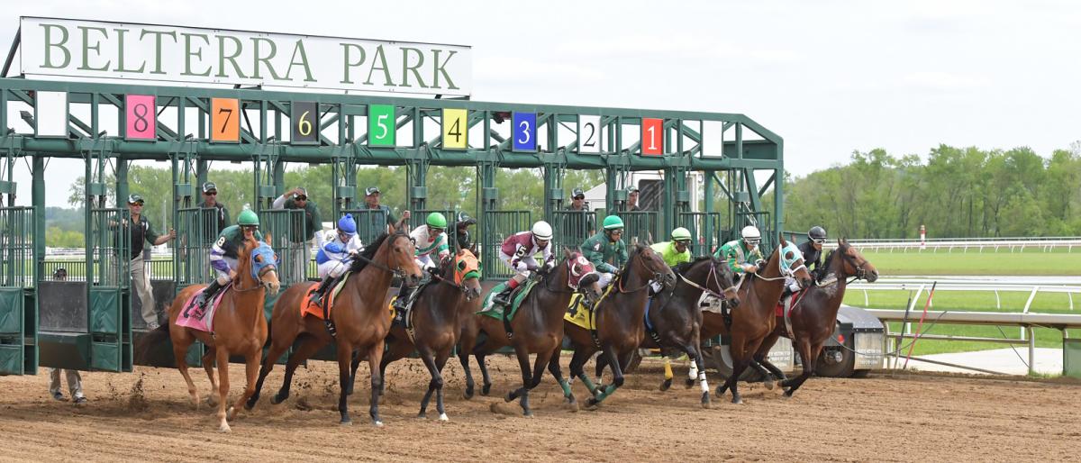 Catch River Downs Live Racing (The Ultimate Guide for Fans)