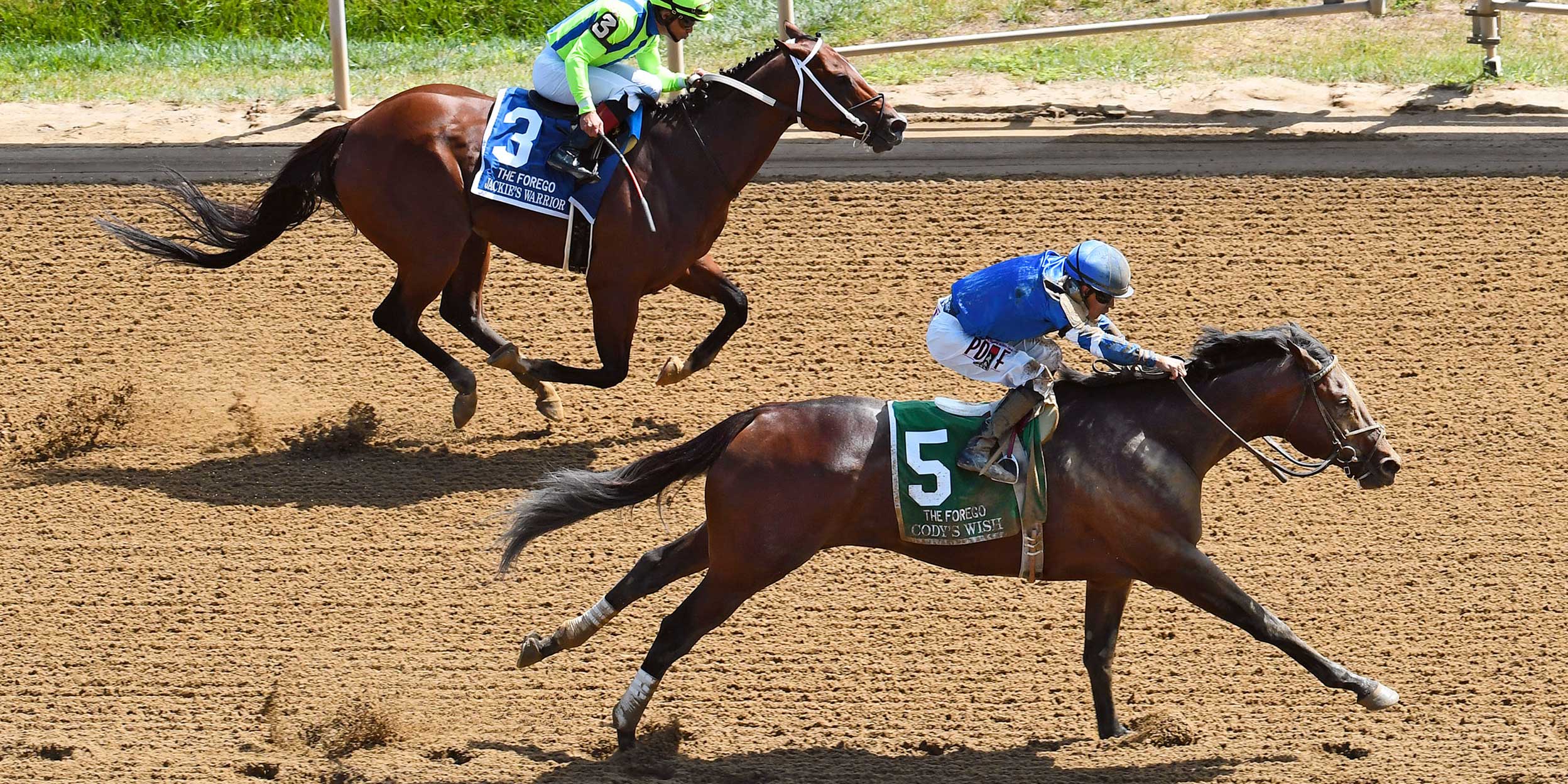 codys wish horse pedigree: see what makes a winners bloodline!