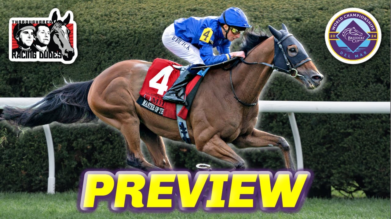 Fourstardave Saratoga: Your Easy Guide to Watching the Big Race (Simple Tips for New Fans)