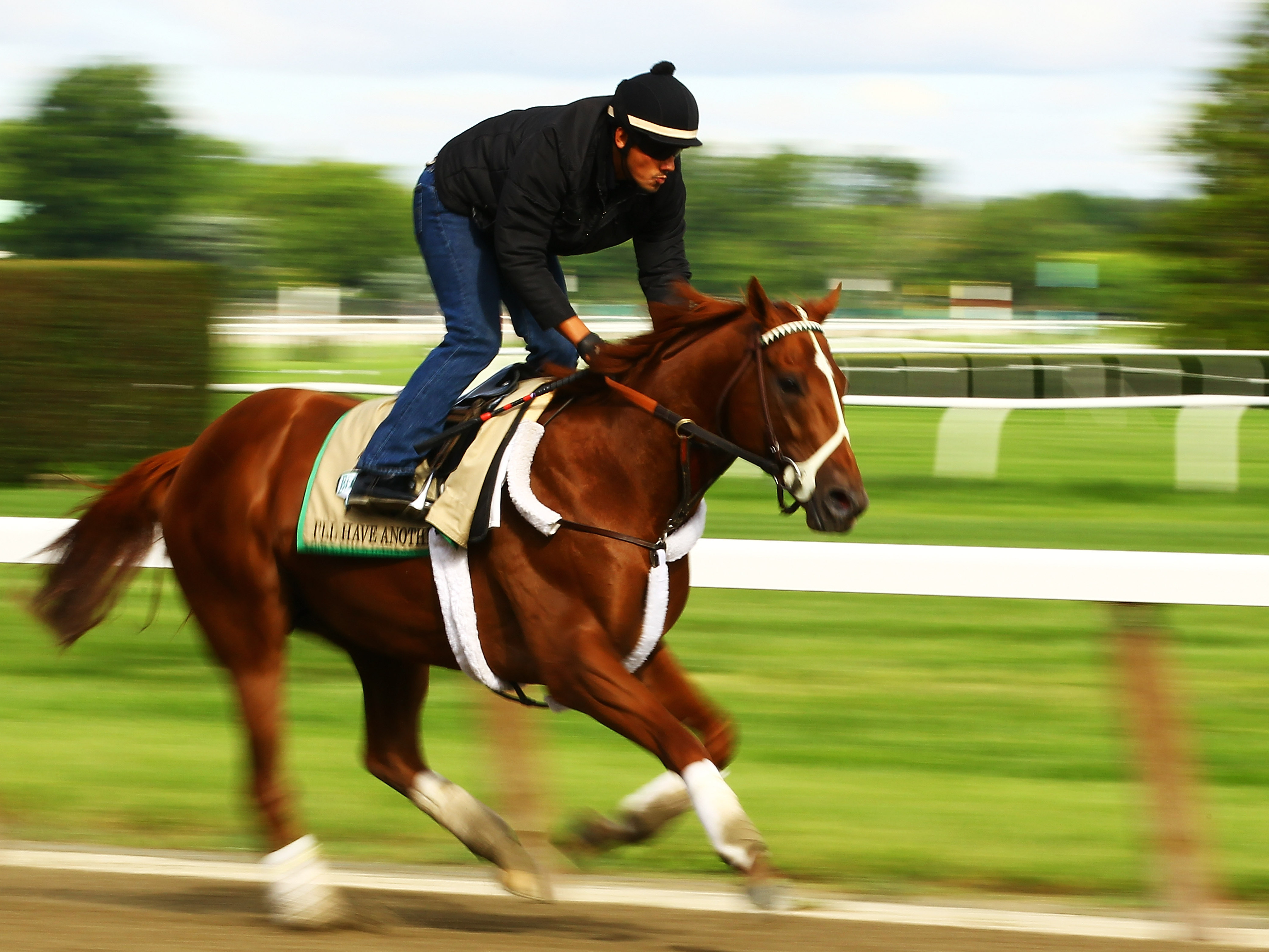 Belmont Scratches: What Happened and Whats Next?