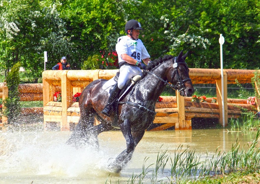 What is Stallion Strong? Find Out How It Can Help You Get Stronger and Healthier Quickly!