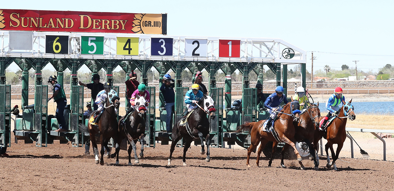 Sunland Park Derby 2024: How to Watch Live (Heres where you can catch all the action of the race)
