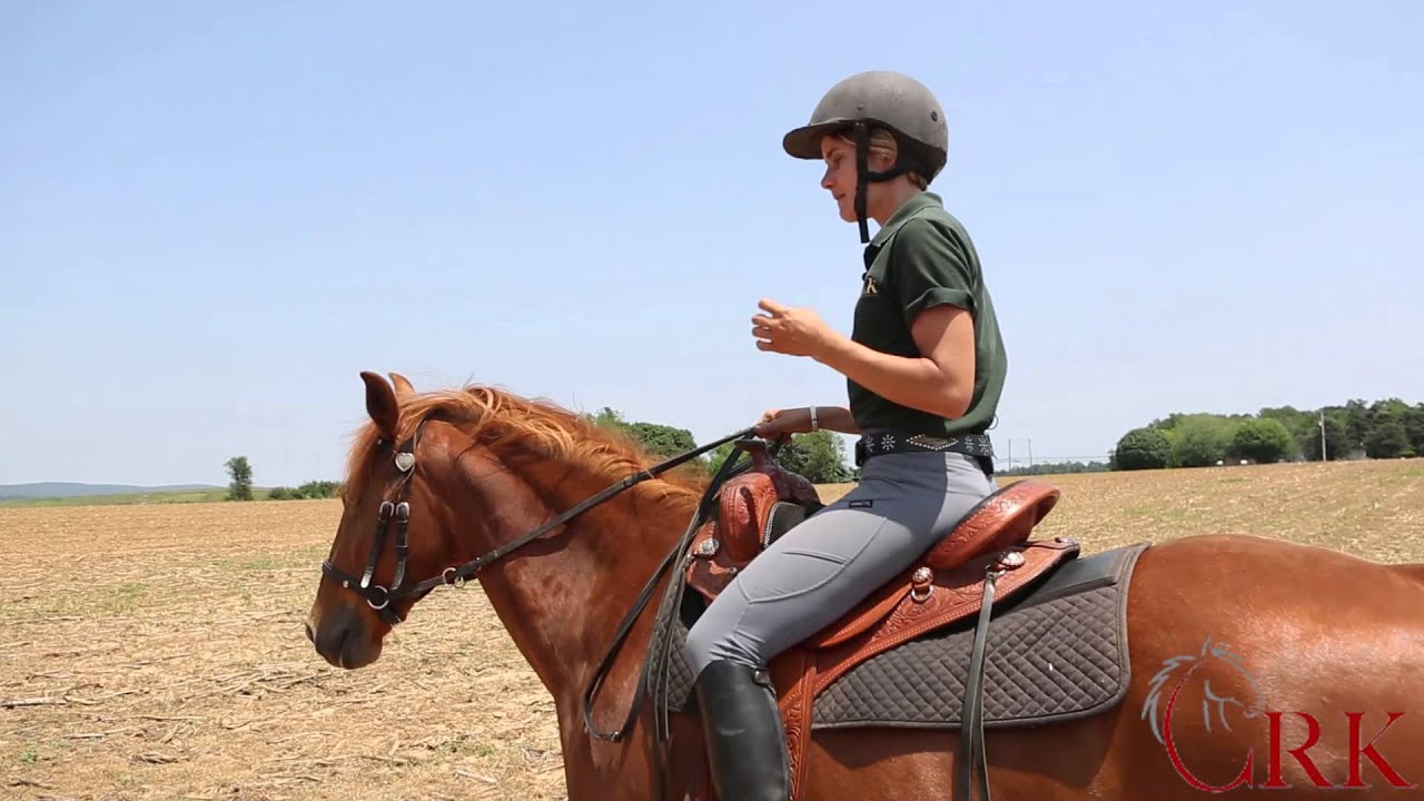 See 1 Man and 1 Horse Conquer the Trail (Beginners Guide to Horseback Riding)