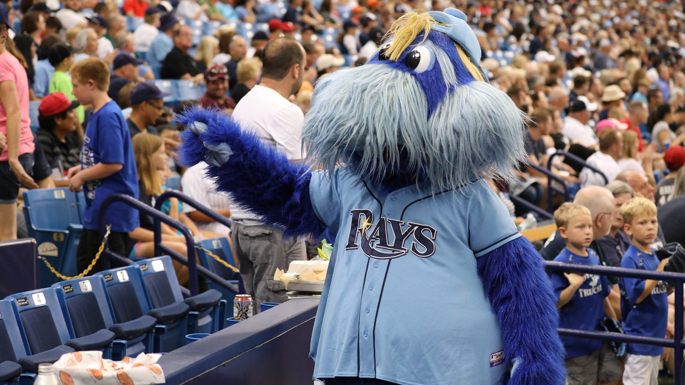 What are the Rays Mascots? Here is what we know so far