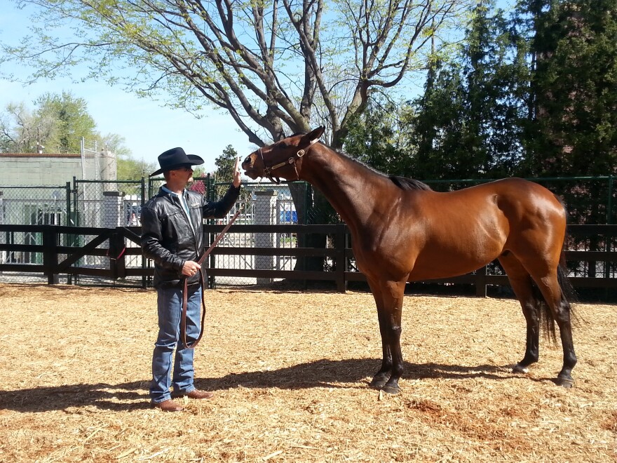 The True Story of Mine That Bird: How a Longshot Horse Won the Kentucky Derby - Watch the Movie!