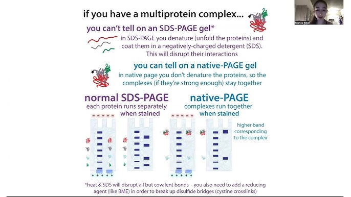 NativeHotness Explained: Easy Ways to Check Out and Use Native Hotness