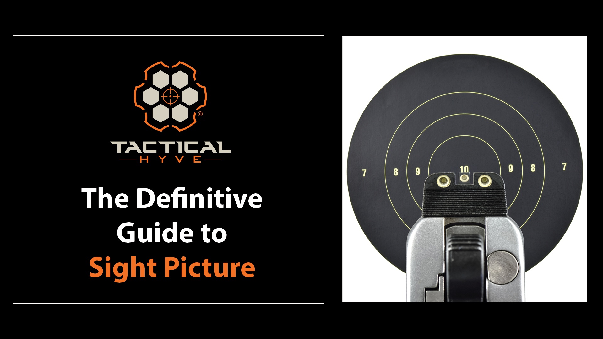 Set Your Sites or Sights: Which Is Right? (A Quick Guide for Everyday Use)