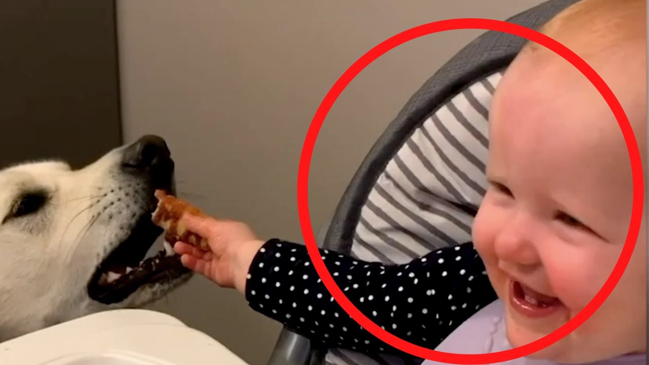 lolo sonnys funniest moments: These videos will make you laugh out loud!