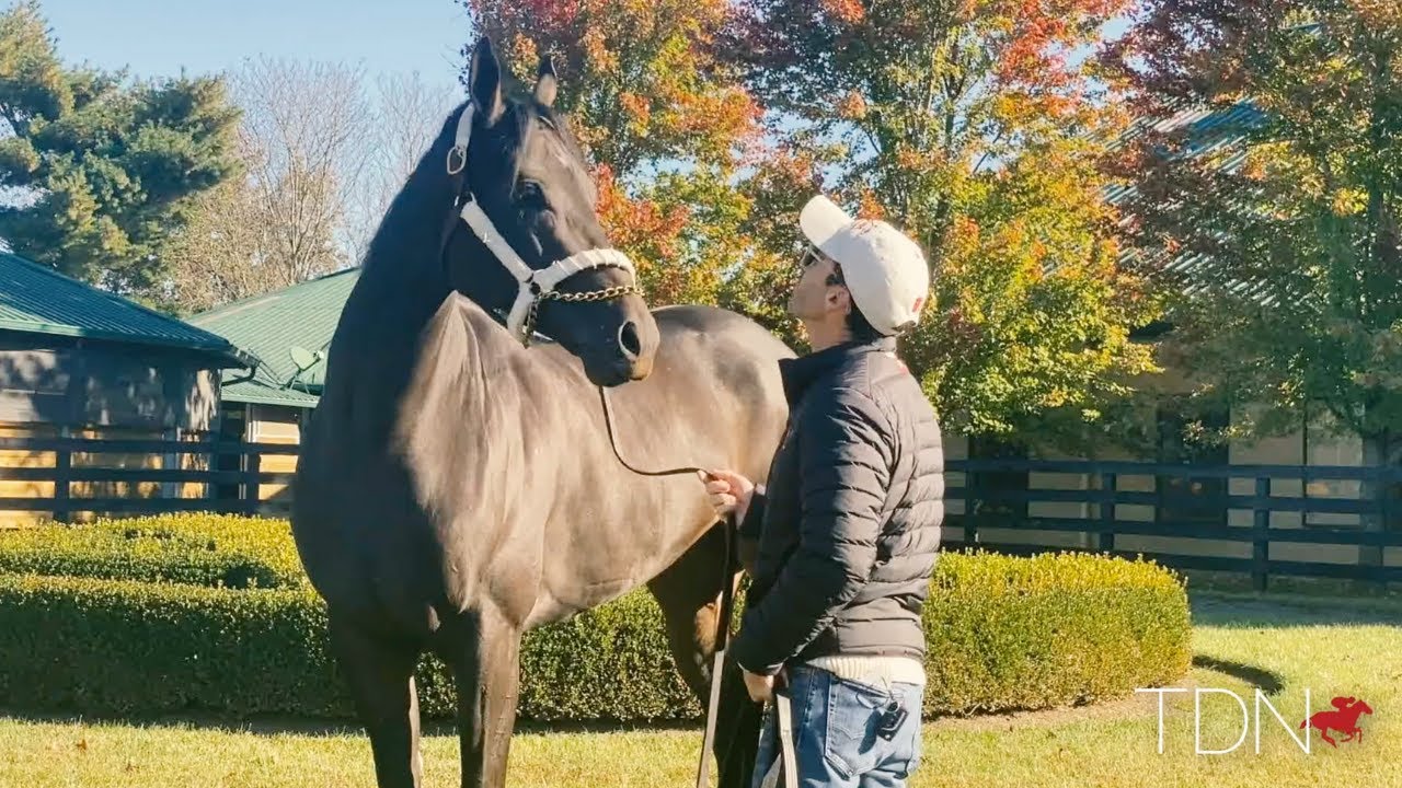 Why is Midnight Bisou Famous? Check Out Her Best Moments
