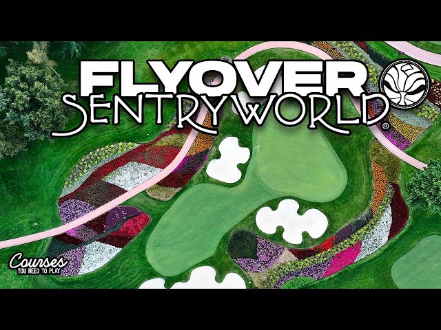 Explore sentryworld: What Makes This Course So Special?