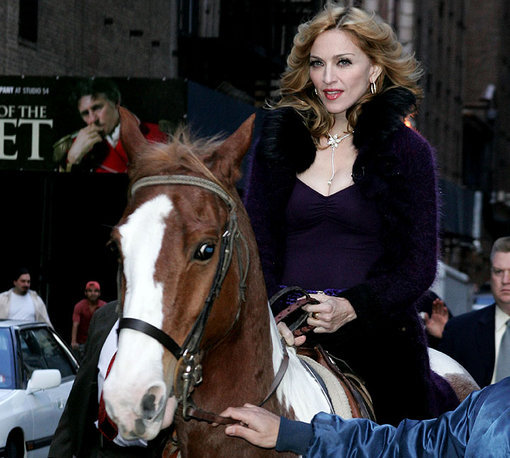 Madonna and Horse: Unpacking the Iconic Bond and How It Influenced Her Artistry and Public Persona Through the Years