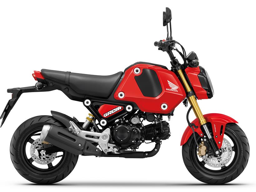 Thinking About Buying a Honda Grom 2021? Read This First Now!