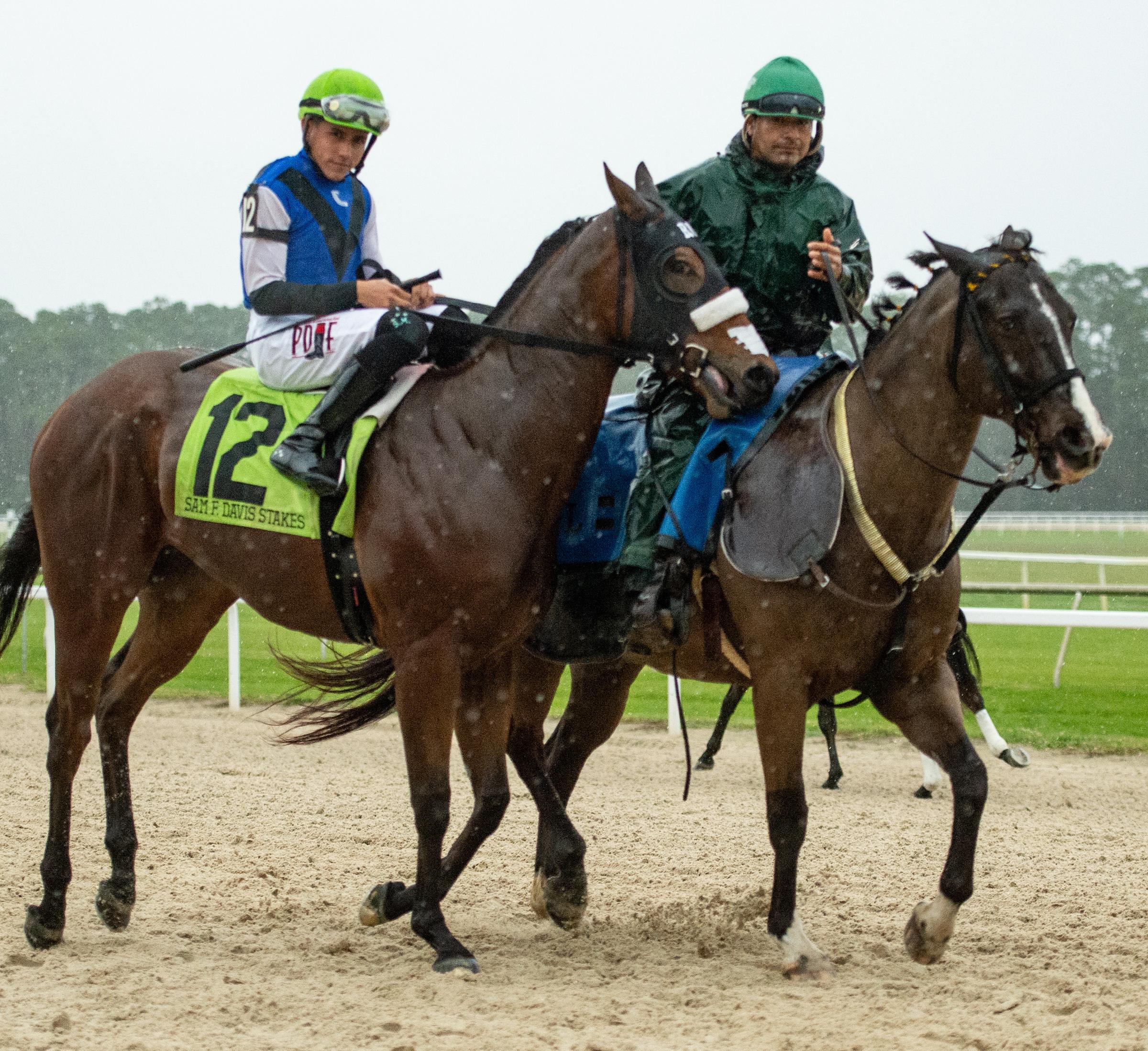 Tampa Bay Derby 2023: Horses to Watch, Discover Potential Upsets!