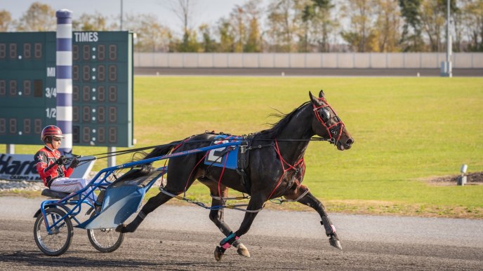 Harrahs Philadelphia Racing Results: Check Who Won Today! (Easy Guide to Find Race Outcomes)
