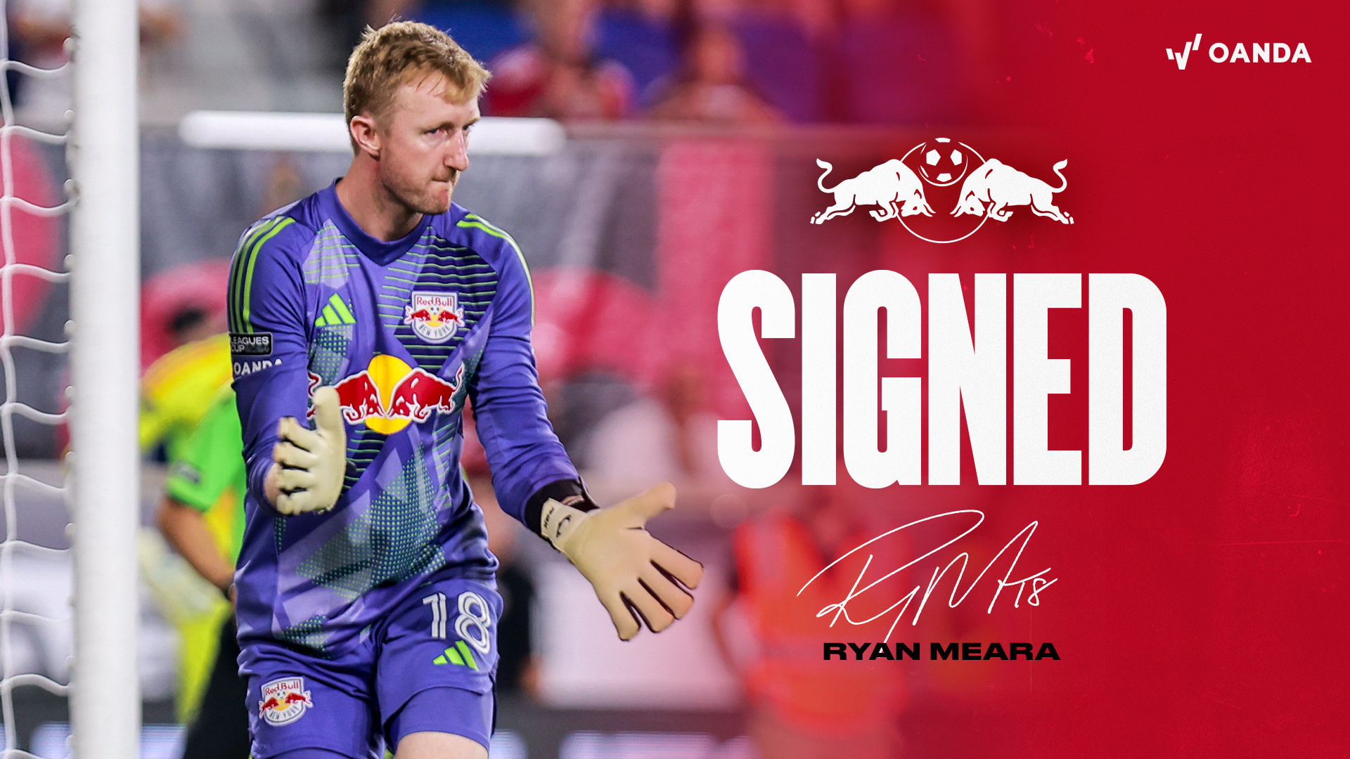 Ryan Meara Fan? You Need to Read This Ultimate Guide to His Career!