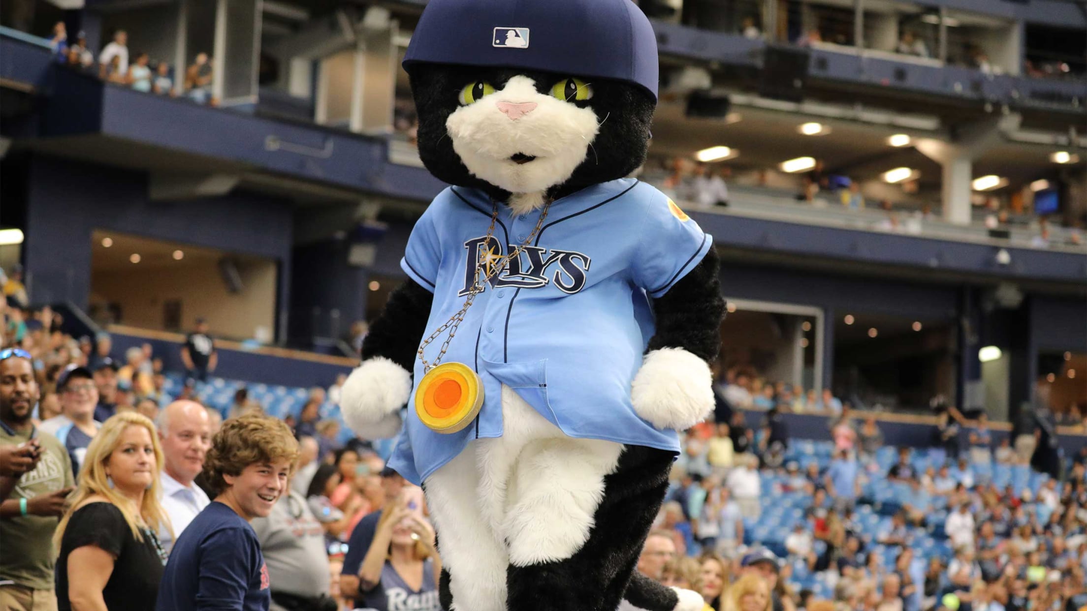 What are the Rays Mascots? Here is what we know so far