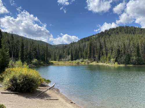 Explore Packsaddle Road: A Quick Guide (Find the Best Spots)