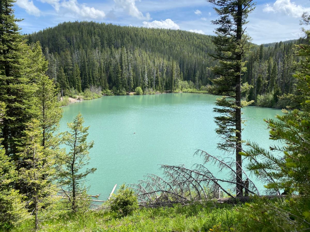 Explore Packsaddle Road: A Quick Guide (Find the Best Spots)