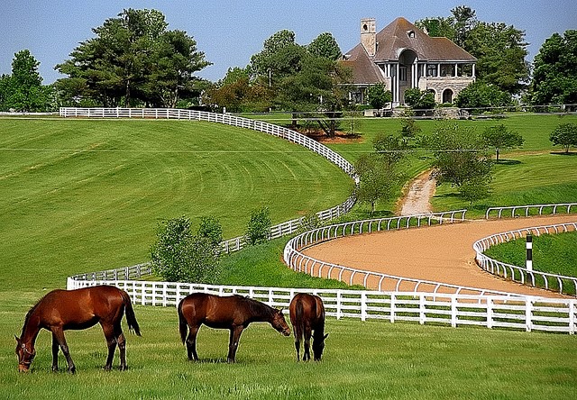 donamire farm: How to join, and what can you expect from this farm?