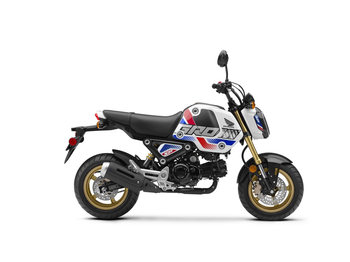 Thinking About Buying a Honda Grom 2021? Read This First Now!