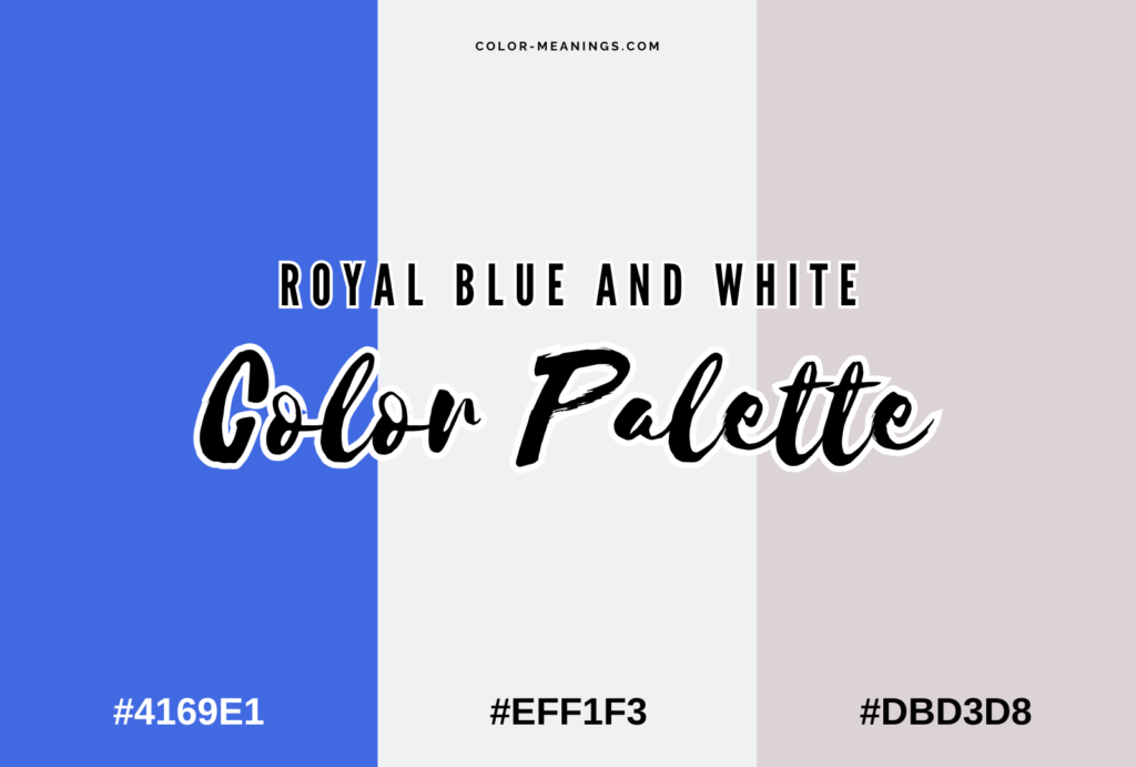 Is Blue White and Perfect for You (How to Know This Color Combination)