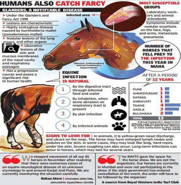 Glanders Disease in Humans: How to Avoid It? Tips for Prevention and Safety!