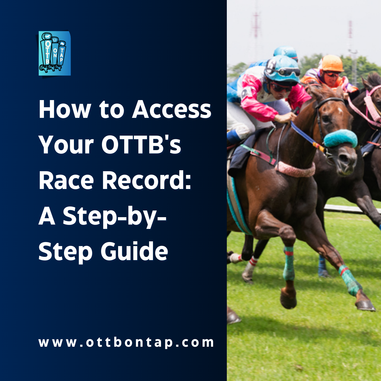 Racing Records for Thoroughbreds: How to Find and Understand Them Easily!