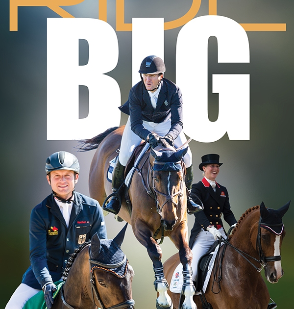 Good Horse What Makes a Horse Great The Ultimate Guide to Equine Excellence