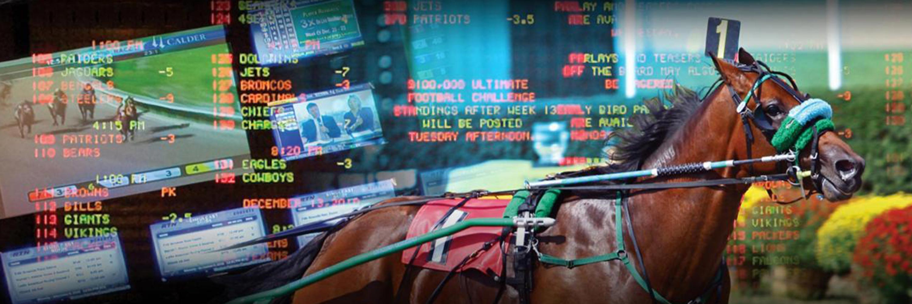 Watch Live! Your Guide to Simulcast Horse Racing Online.