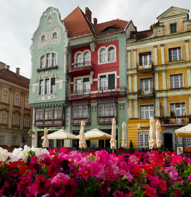 bc scm timișoara: What You Need to Know (Easy Guide)