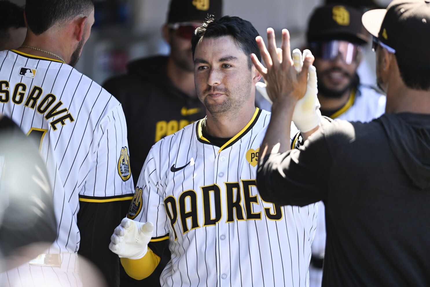 Kyle Higashioka Total Bases Explained: What It Means & Why It Matters
