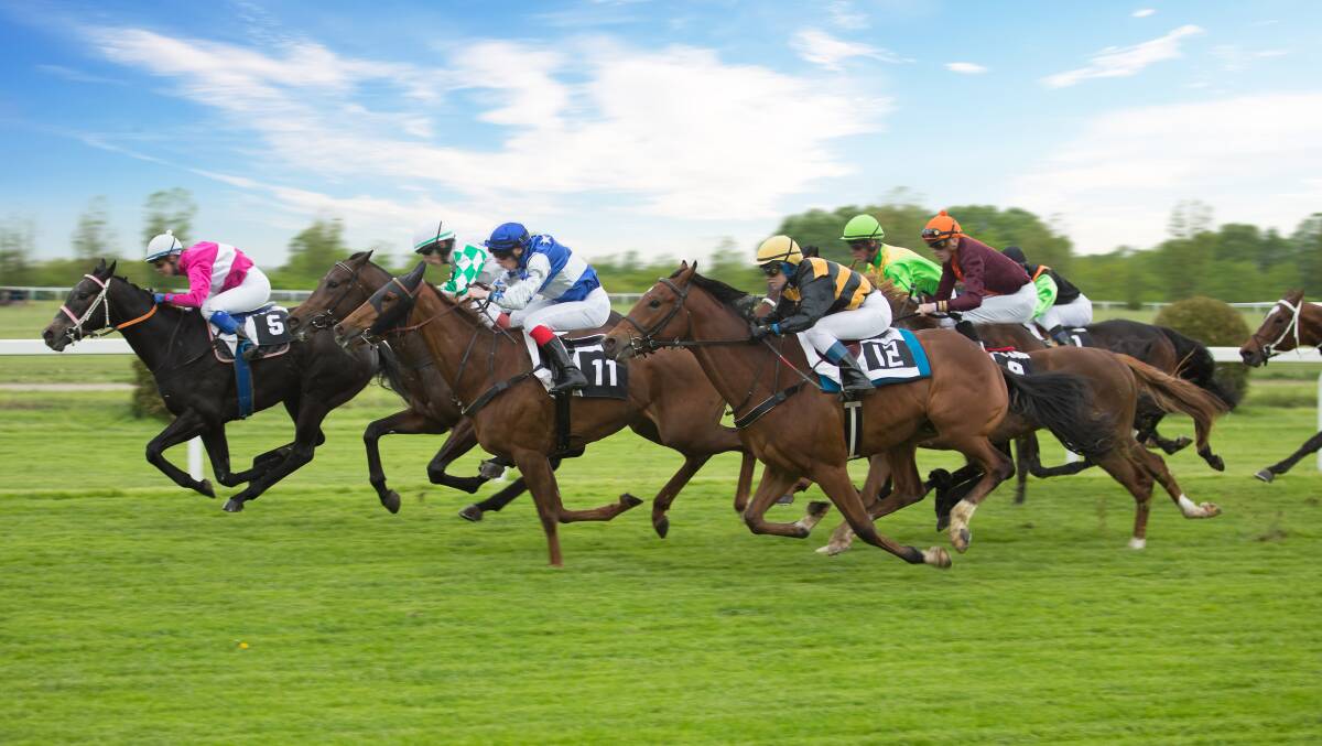 Live Odds Horse Racing: Your Ultimate Guide to Betting!