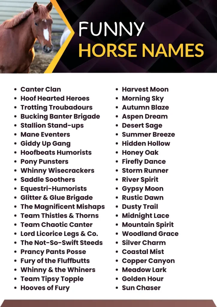Is Friday a Good Name for a Horse? Plus More Fun Horse Names