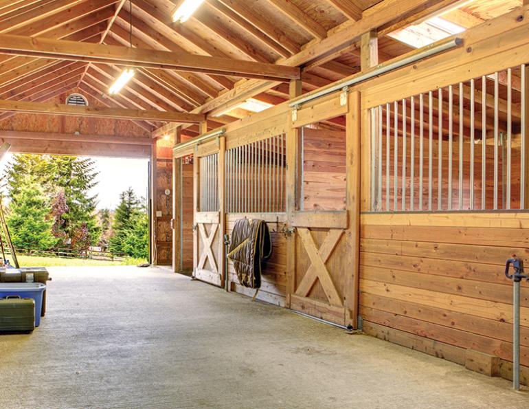 Top Equine Stable Designs: Build the Perfect Horse Home!