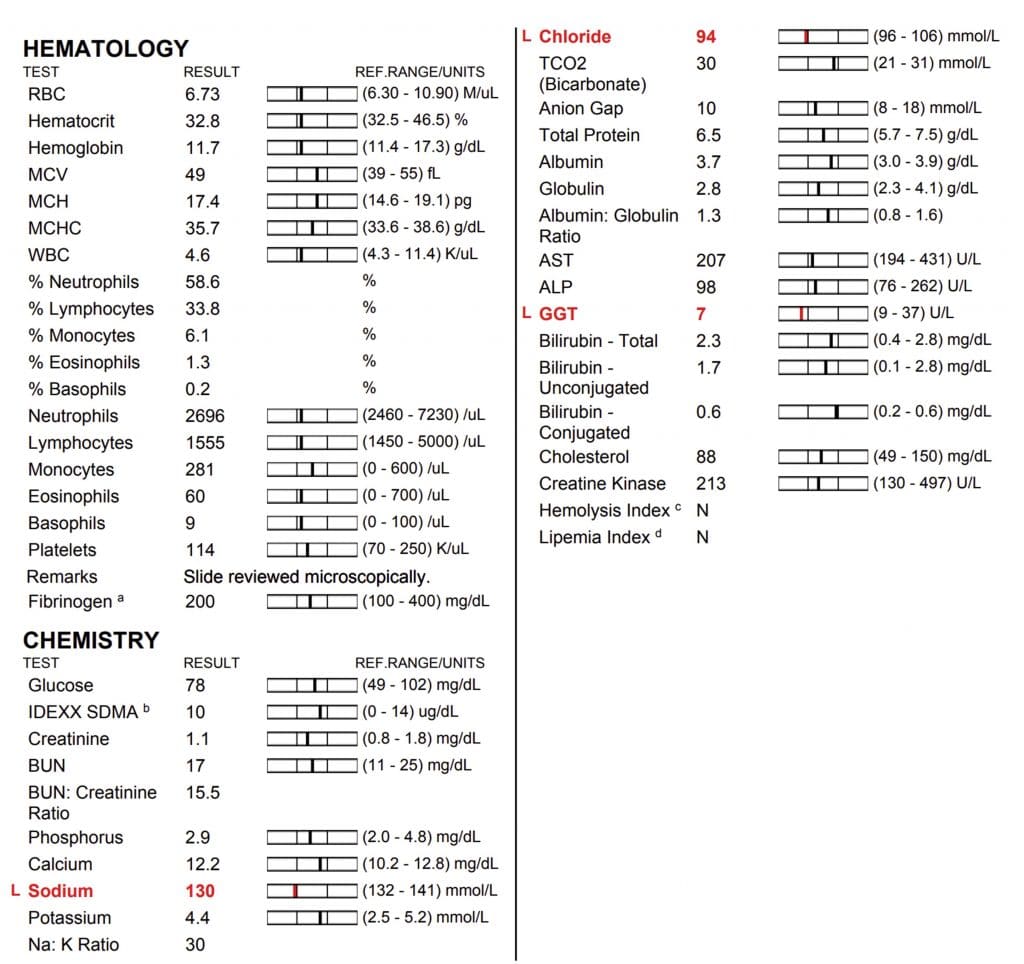 Decoding Bloodwork Results EPM Horses (Learn What to Look For!)