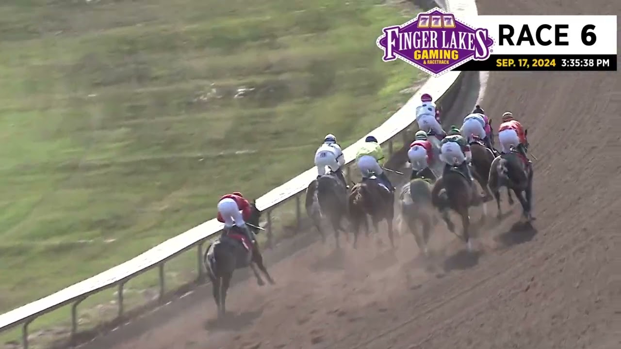 Finger Lakes Race Replays: Watch All the Action Again!