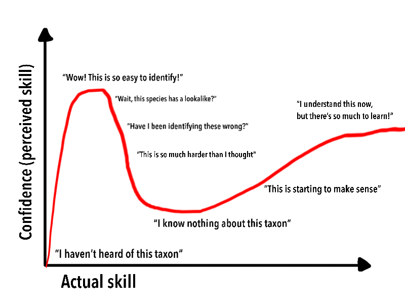 Not Really Good With That? Learn How to Quickly Get Better.