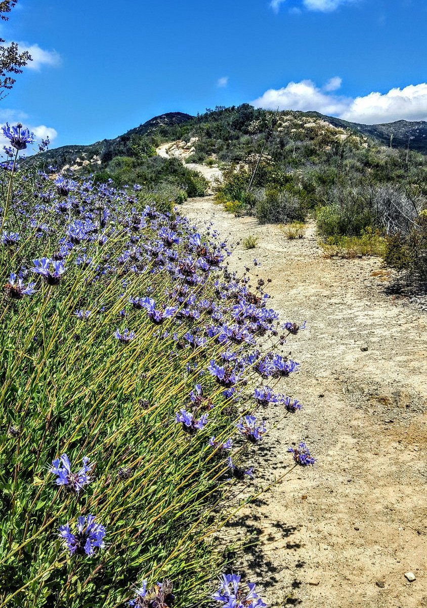 Hike Mcginty Mountain: All You Need to know for a Fun Day
